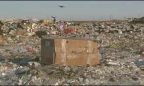 Қостанай облысында қоқыстың тек 27,6 пайызы өңделеді