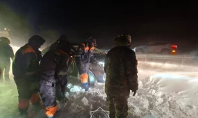 Десятки людей эвакуировали из снежных заносов в Алматинской области