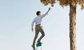 Рыбы упускают возможности, Львы слишком рискуют: о чем предупреждают звёзды в пятницу, 12 декабря