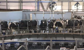 Мәжіліс депутаттары агросекторды жаңғырту жолдарын талқылады