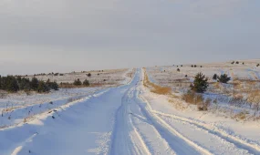 Абай облысында тәртіп сақшылары қар құрсауында қалған жүргізушіні құтқарды