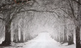 Қай жолдарда көлік қозғалысы шектелді?