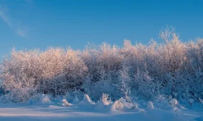 Жёсткая зима вступает в силу: прогноз погоды на 15 декабря 2025