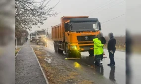 Түркістан облысында полицейлер табиғи ресурстарды заңсыз тасымалдаған 15 жүк көлігін анықтады