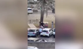 Аустралиядағы атыстан 16 адам қаза тапты