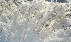 Қар жауып, боран соғады:  «Қазгидромет» дауылды ескерту жариялады