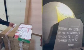 Медицина саласында заң бұзған 166 қызметкер жауапқа тартылды