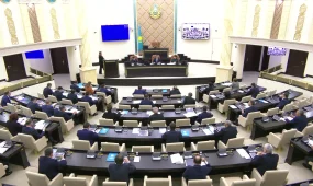 Сенат одобрил закон о запрете пропаганды ЛГБТ в Казахстане
