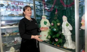 Свыше сотни уникальных Дед Морозов собрала в своей коллекции жительница Петропавловска