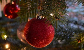 Арзан шыршаға қызығып, ақшаңыздан айырылып қалмаңыз! - ІІМ тұрғындарға ескерту жасады