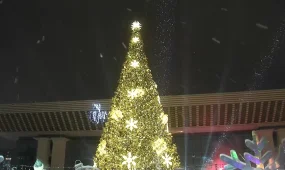 Алматыда бас шыршаның шамы жағылды