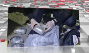 Крупную партию наркотиков пытались провезти через границу в Жамбылской области