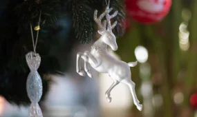 Новогодние ловушки: полиция предупреждает о схеме мошенничества с продажей ёлок