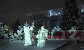 Огни новогодних ёлок одновременно зажгли во всех районах Алматы