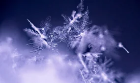 Погода 21 декабря 2025: сильные морозы в Астане, снег в Алматы и тёплее в Шымкенте