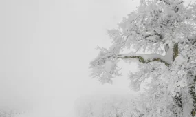 16 облыста дауылды ескерту жарияланды