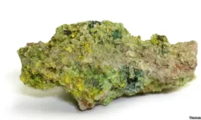 Радиоактивный уран пытались продать трое казахстанцев