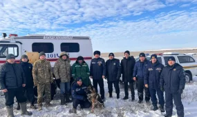 Актюбинского пастуха нашли в 30 километрах от места пропажи