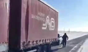 Большегруз с 45 лошадьми попал в беду из-за морозов в Костанайской области