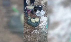 Алматыда аса ірі көлемде есірткі тәркіленді