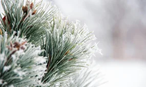 28 градус аяз болады: синоптиктер ескерту жасады