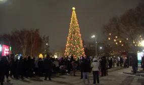 Астанада жаңажылдық шырша шамы жағылды