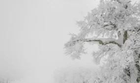 Күн күрт суытады