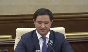"Миллиардтаған қаржы нақты нәтиже бермейтін формалды бағдарламаларға жұмсалуда", - депутат