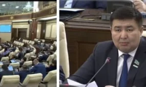 Премии при убытках соцпредкорпораций возмутили мажилисменов