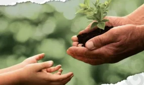 Новые заповедники, мусорозаводы и «Таза Қазақстан»: названы топ-10 экособытий 2025 года