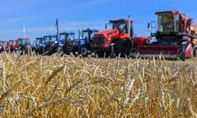 Ауыл шаруашылығы өнімдерінің жалпы көлемі 6,1%-ға артты