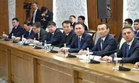 Экосаябақтар салуды тапсырды