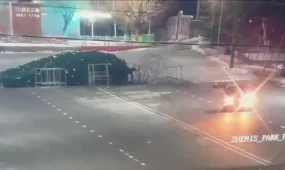 Түркістан облысында көлік жүргізуші орталық алаңдағы шыршаны құлатып кетті