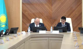 «AMANAT» партиясы көтерген мәселелер шешімін тапты