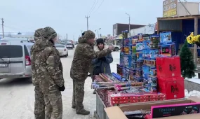Около полусотни пиротехнических изделий изъяли из незаконной торговли в Костанае