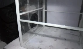 "Дети начинают верить в сказку": необычную акцию провели волонтёры для социально-уязвимых семей в Петропавловске