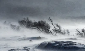 Снег, метели и гололёд: Казахстан накроет непогода в выходные