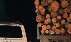 Жүргізуші куәлігінсіз жүк көлігін тізгіндеген азамат ұсталды