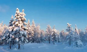 Снег и похолодание: прогноз погоды на 27 декабря для Астаны, Алматы и Шымкента