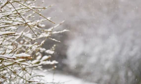 17 өңірде дауылды ескерту жарияланды