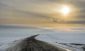 Два иностранца пострадали на трассе в области Улытау