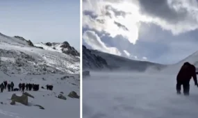 Три человека погибли в горах Алматы