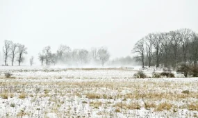 Опасные метеоусловия: МЧС предупреждает о снегопадах и сильном ветре