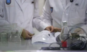 Жас ғалым цикорийдің диабетке қарсы қасиетін дәлелдеді