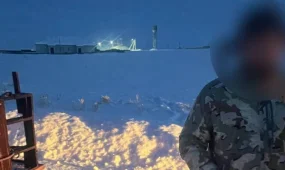 Абай облысында қасқыр атқан аңшы айыппұл төледі