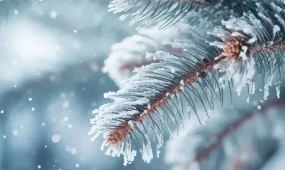 Погода на 31 декабря: в Астане метель, в Шымкенте сильный дождь