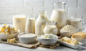 10 предприятий по переработке молока и 14 мясокомбинатов откроют в Казахстане в 2026 году