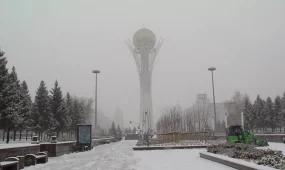 Касым-Жомарт Токаев подписал Закон "о профилактике правонарушений"