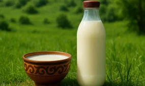 Россияне скупают кумыс в преддверии года лошади