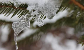 Астану ждёт непростая погода в праздничные дни — предупреждение от акимата